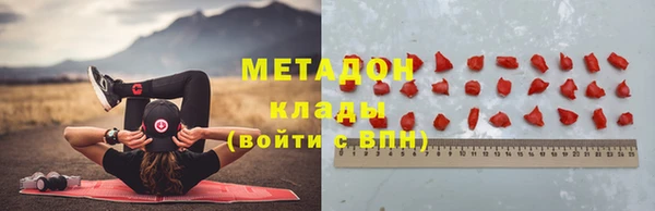 индика Белокуриха